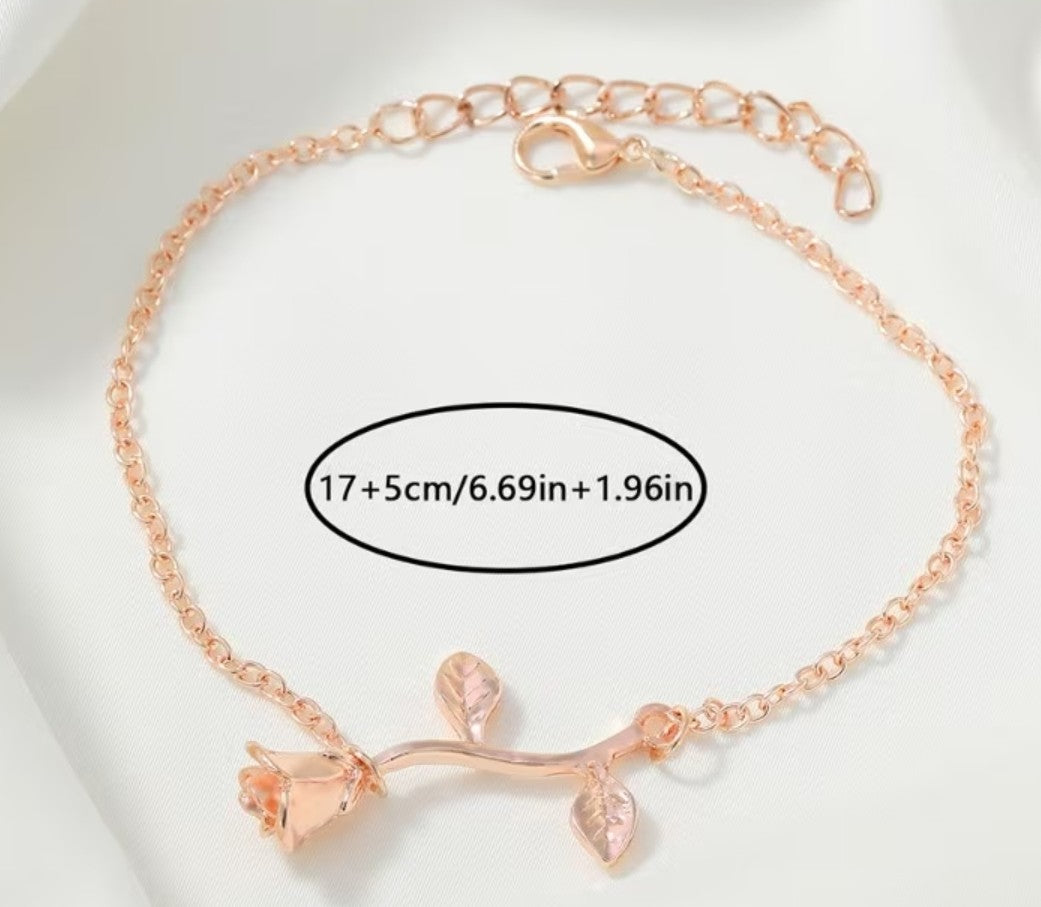 Damen Set 260020004
