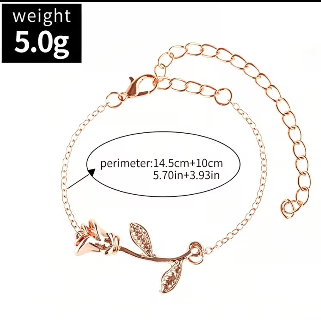 Damen Set 260020010